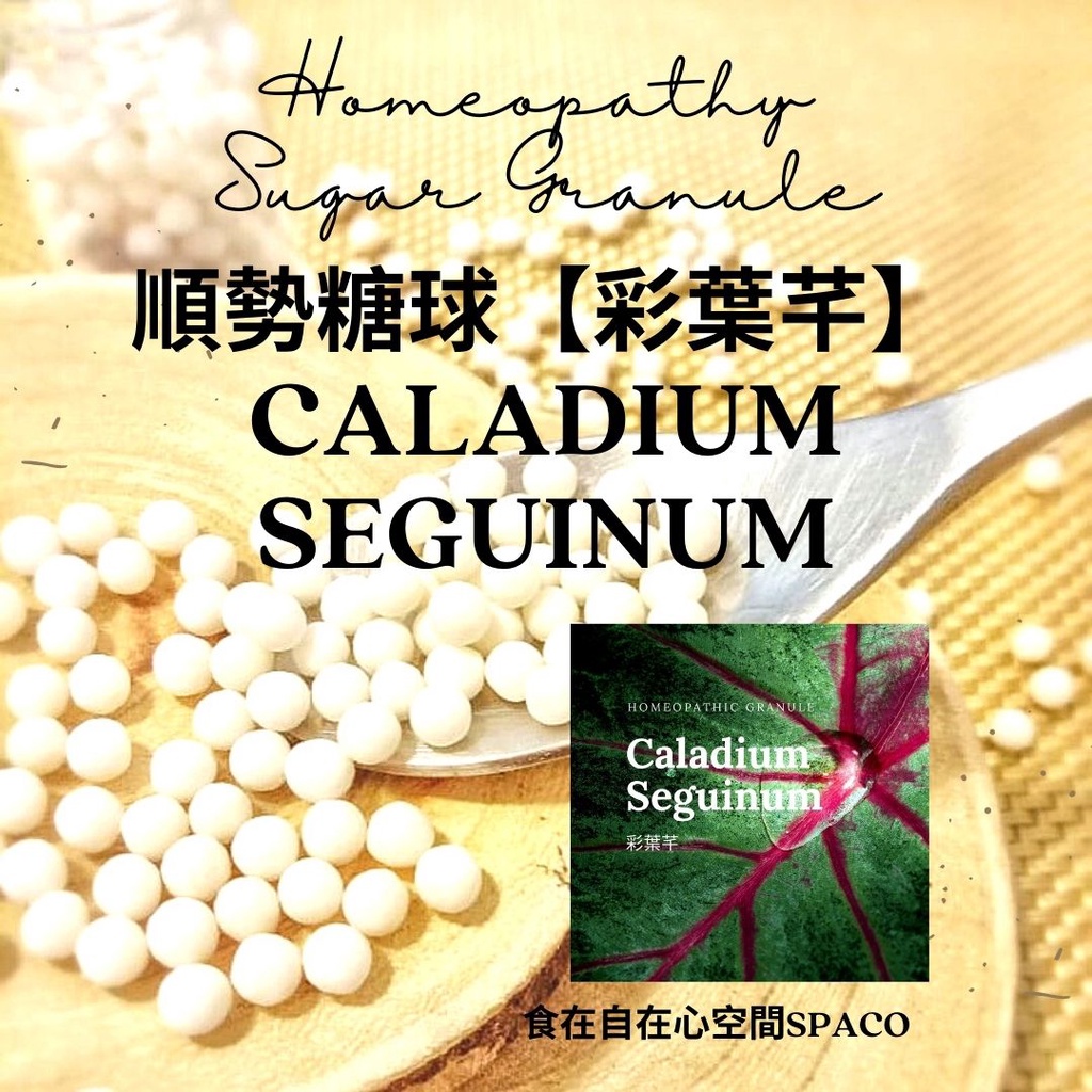 順勢糖球【彩葉芊●Caladium Seguinum】Homeopathic Granule 9克 食在自在心空間