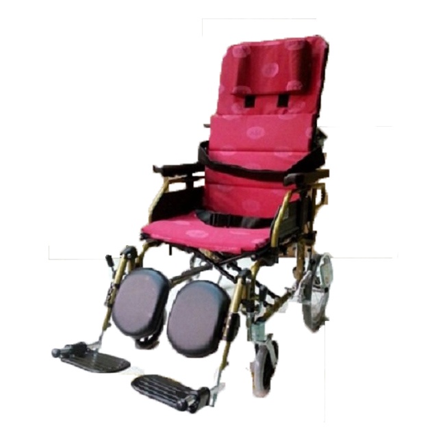 【海夫健康生活館】安愛 機械式輪椅(未滅菌) 康復 紅提2211P 鋁躺輪椅 22吋