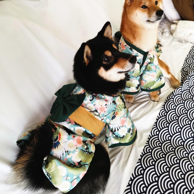 日系和風 貓咪小型犬和服貓狗裝柴犬柯基法鬥巴哥 蝦皮購物