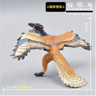 🍁 （稀有珍藏）SPG 正版 始祖鳥 史組鳥 鳥類 鳥 恐龍 模擬 動物模型 野生動物 兒童玩具 益智 隨草憶境