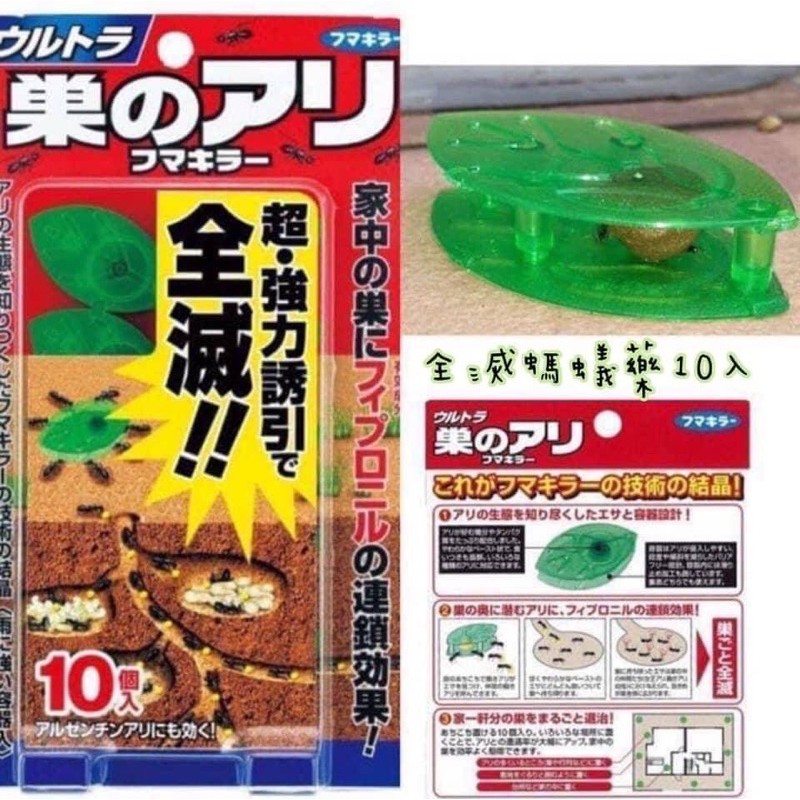 日本-全滅螞蟻藥10入-現貨