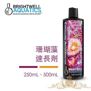 BWA 百威 BrightWell 珊瑚藻速長劑 250ml / 500ml 出清特價 美國原裝進口