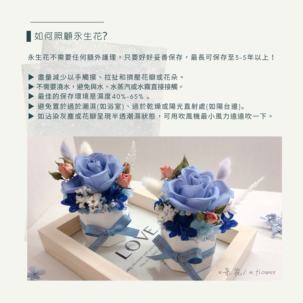 E朵花 聖誕節交換禮物透明壓克力直立花盒不凋雪松永生花不凋花乾燥花聖誕果實聖誕節裝飾 蝦皮購物