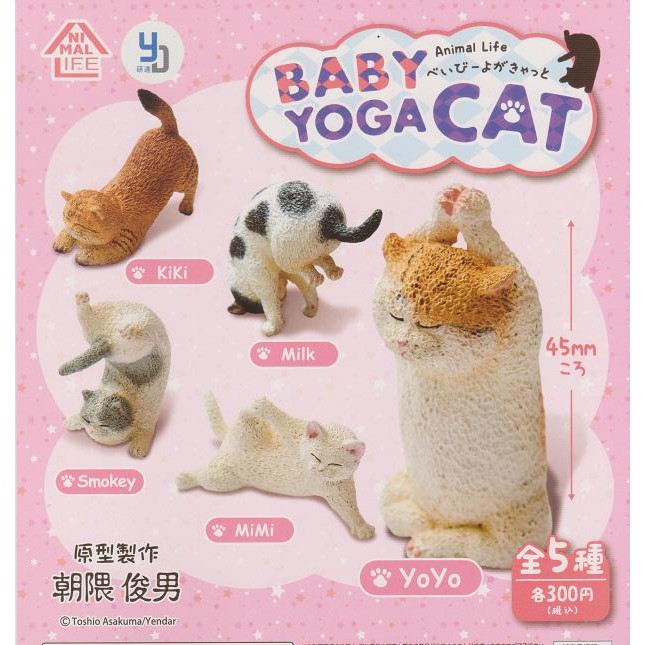 《JOJO模型玩具》朝隈俊男 Animal Life 貓瑜珈寶寶/瑜伽貓  全五種 一中盒6入 (不保證全套)