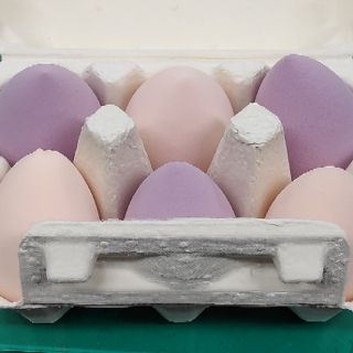 [搬家低價出清]ETUDE HOUSE 底妝專家粉底刷200元、雞蛋盒美妝蛋6入180元