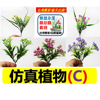 WINE臺灣惟恩 仿真植物(C) 模擬 多肉 植物 滿天星 仙人掌 蓮 柳葉 繽紛椰呆 紅心多肉 椰子 珊瑚蕨 草 樹