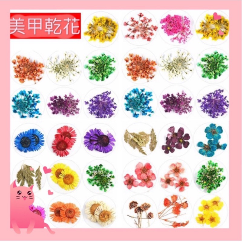 現貨搶購區❤️美甲乾花 乾燥花 半透明花 滿天星乾燥花 小雛菊🌼乾燥花 美甲專用乾燥花 小花 造型乾花