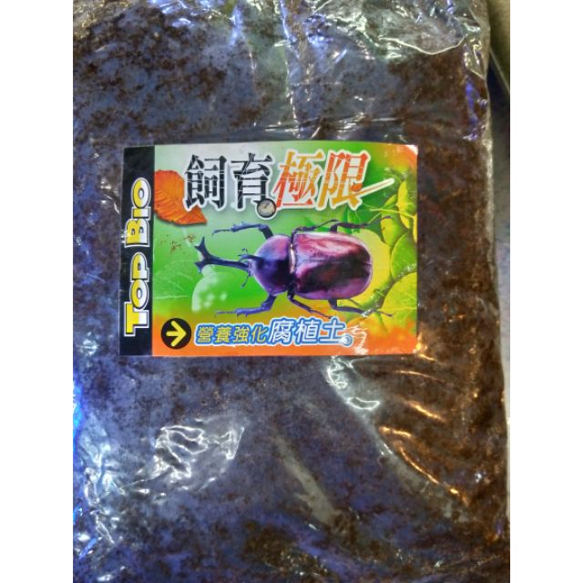 ((現貨))飼育極限 腐植土 雞母蟲 獨角仙幼蟲 兜蟲 Allomyrina dichotoma獨角仙幼蟲