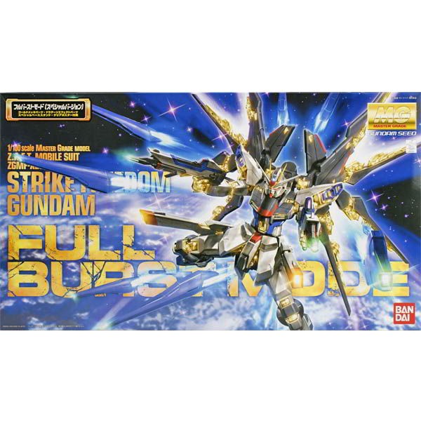 【BANDAI】組裝模型 鋼彈SEED MG 1/100 ZGMF-X20A 攻擊自由鋼彈