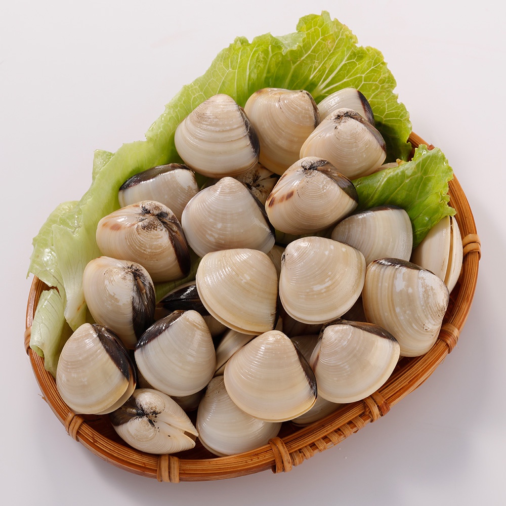 華得水產 越南白玉文蛤1包(500g/包)