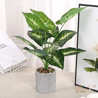 【暖&和家居】臺灣現貨北歐仿真植物擺飾 植物盆栽 模擬盆栽 仿真植物 植栽 仿真花 仿真植物 擺飾 居家裝飾 裝飾植物