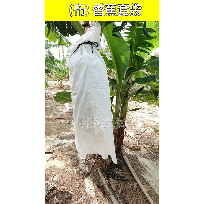 【綠海生活】 附發票 布香蕉袋 75丹/150丹/300丹布香蕉套袋 香蕉袋 香蕉套袋 布套袋 水果套袋 - 防風 防寒