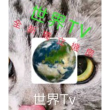 App專屬 Ptt與dcard推薦網拍商品 2021年12月 飛比價格