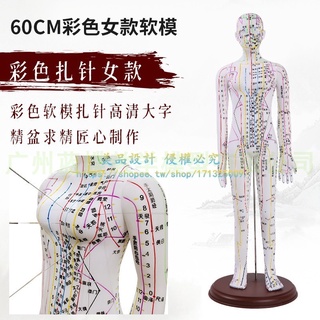 中醫人體針灸穴位模型經絡銅人小人按摩教學教具男模60cm大號家用【美品LDYX】