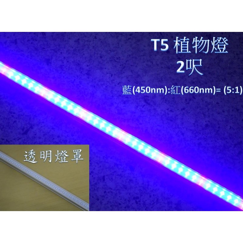 [晁光照明]LED 植物燈 水族燈 LED燈管 T5 2呎 藍(450m):紅(660nm)=5:1 兩組優惠價