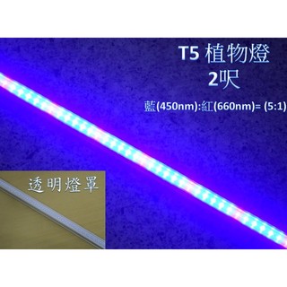 [晁光照明]LED植物燈 水族燈 LED燈 LED燈管 T5 2呎 3尺 4尺 藍(450m):紅(660nm)=5:1