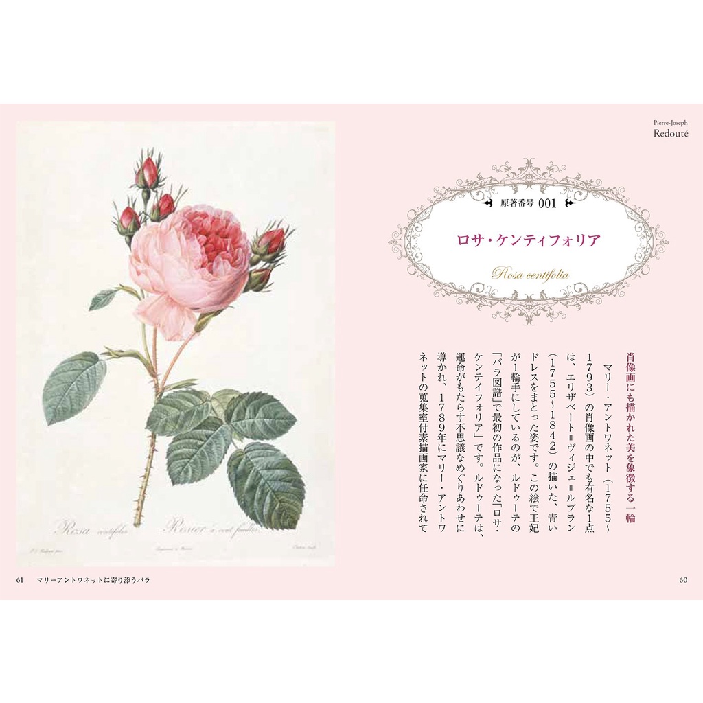 文化國際通 宮廷画家ルドゥーテとバラの物語 蝦皮購物