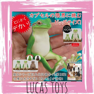 Kitan 奇譚俱樂部轉蛋扭蛋不可思議動物坐姿蛙青蛙全6種整套販售 蝦皮購物