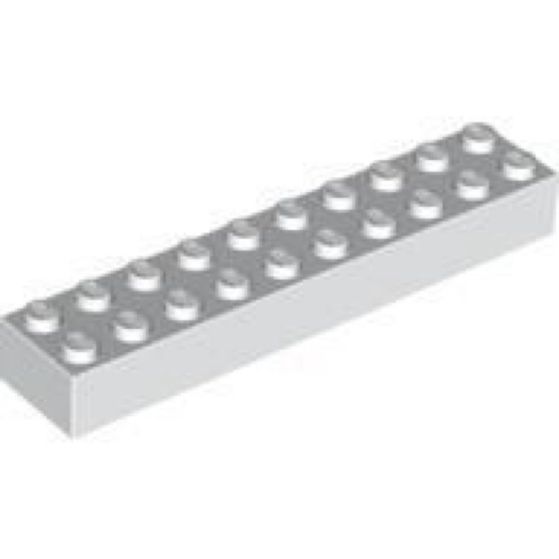 LEGO 樂高 2x10 白色 基本磚 方塊 3006