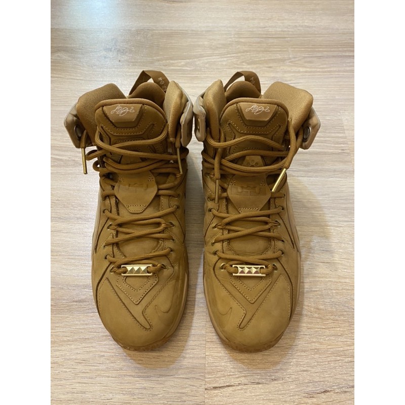 [外星古物] Nick Lebron 12 what the 卡其配色 US9
