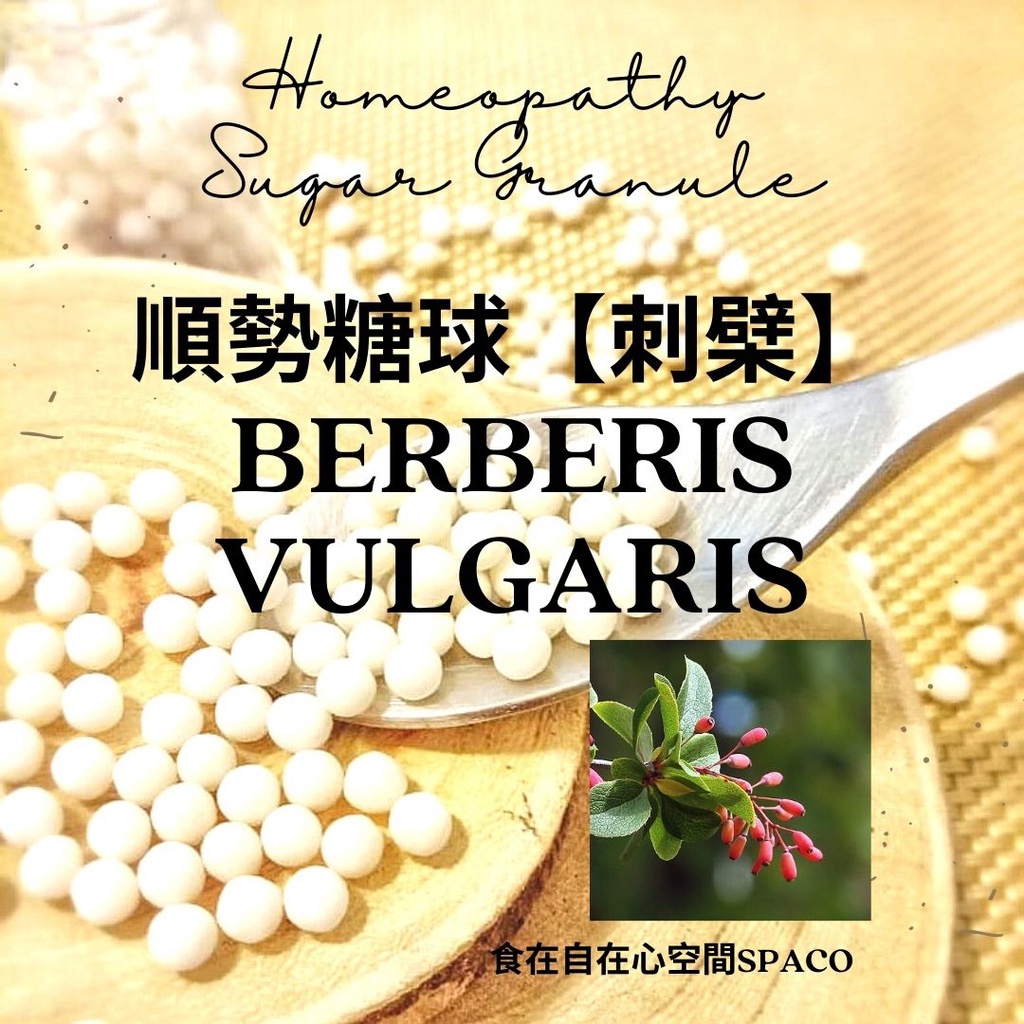 順勢糖球【刺檗●Berberis Vulgaris】Homeopathic Granule 9克 食在自在心空間