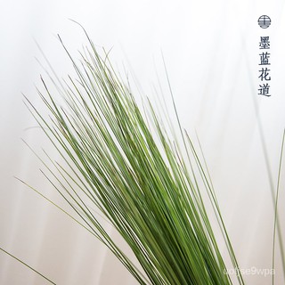 池坊自由花的價格推薦 21年6月 比價撿便宜