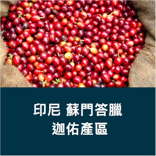 SCA國際認證 黑果精品咖啡 印尼蘇門答臘 超級黃金曼特寧 20目 迦佑產區 450g