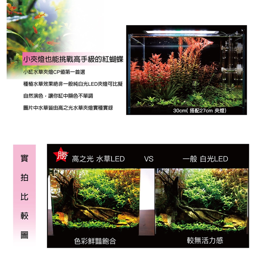 魚草杰園 免運費高之光水草夾燈 水草燈 Led水草 高演色 高透光 全光譜 紅宮廷 紅蝴蝶 多肉 蝦皮購物