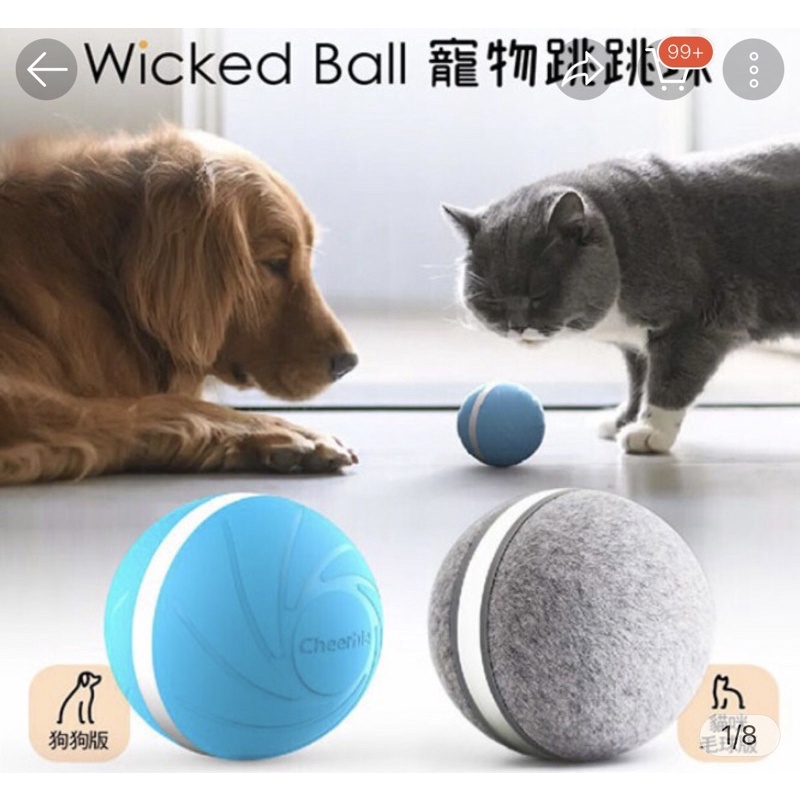 wicked ball自動陪玩寵物球(灰色
