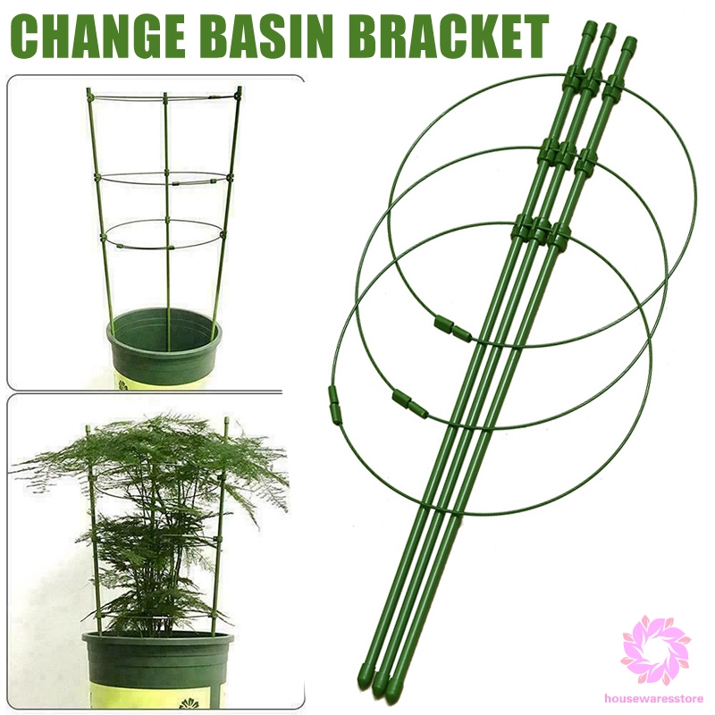 Hwt 植物生長支架爬藤架花支架盆栽牽引攀爬支柱花架園藝用品種菜種花 蝦皮購物
