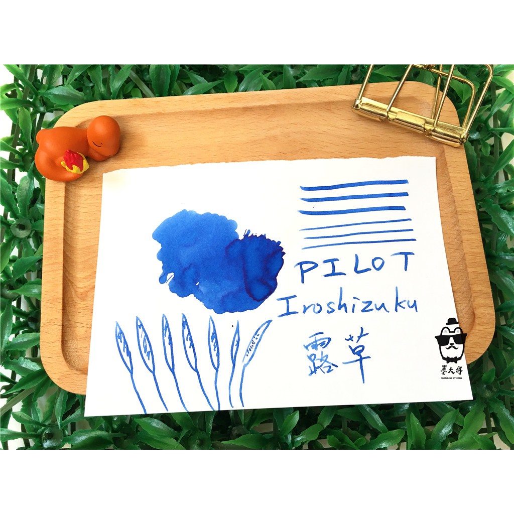 日本pilot百樂iroshizuku 色彩雫系列墨水 露草 每份5ml 鋼筆教科書推薦 Iro墨水 蝦皮購物