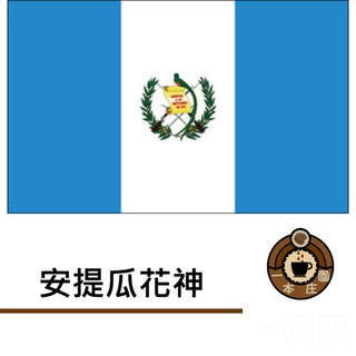【ㄧ本莊園】精品咖啡豆《安提瓜 花神咖啡 》半磅裝 一磅裝 任選