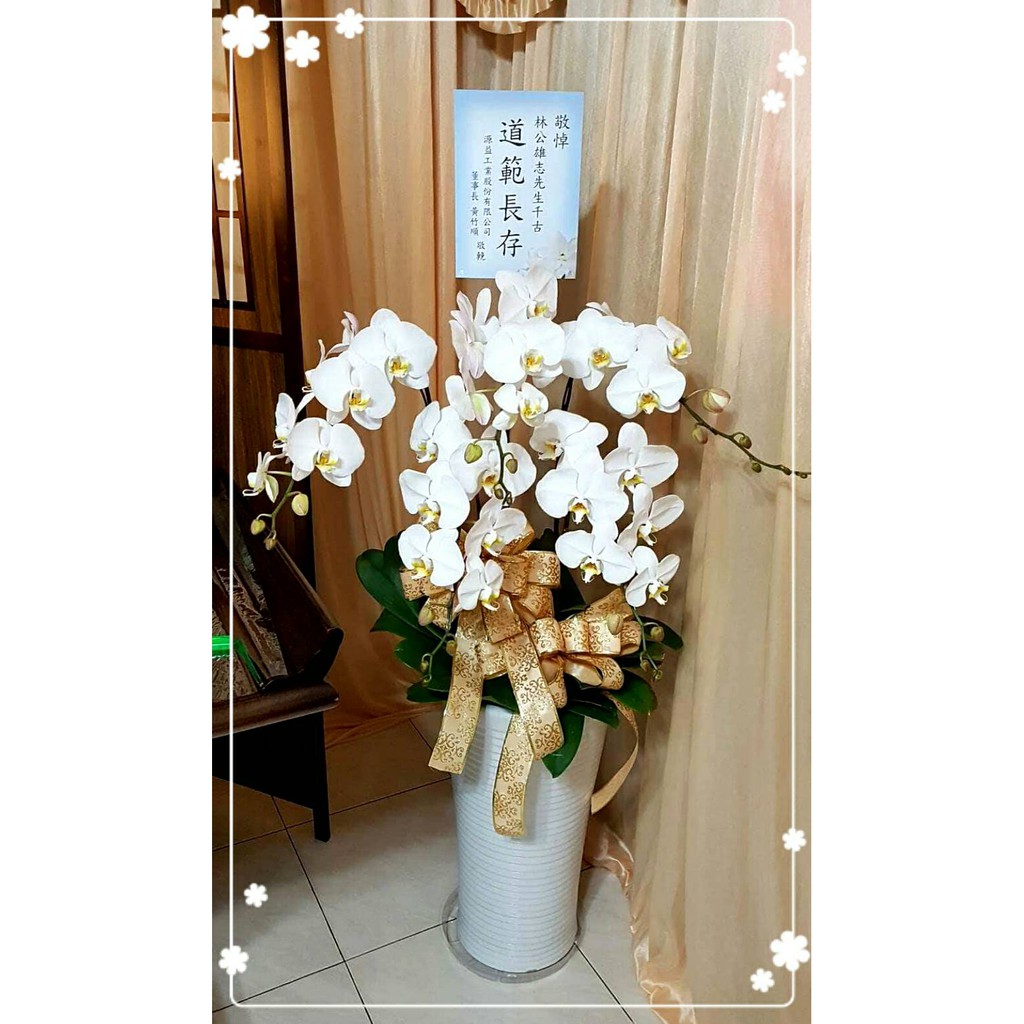 歐式綠坊花苑 Gtco303 5株 A 追思蝴蝶蘭盆景 高筒盆 追思告別式蘭花公祭家祭蘭花靈堂靈室蝴蝶蘭盆栽 蝦皮購物