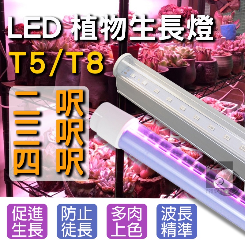 【自然光節能照明】 LED T8植物燈 全光譜/紅多/藍多 2呎3呎4呎 防水燈管 植物燈 補光燈 仿太陽光 多肉 育苗