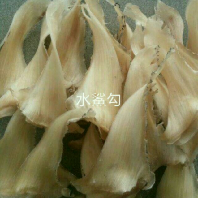 特大水鯊勾魚（10-12片）排翅 魚翅 勾翅 乾魚翅 年節禮品專賣