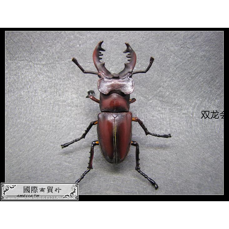 高砂深山 Ptt討論與高評價網拍商品 21年7月 飛比價格