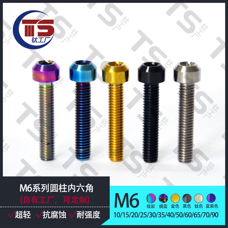 TS M6X10/15/20/25/30/35/40/45/50/55/60mm鈦合金 TC4 M6 螺絲 Nmax15