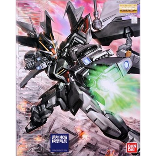 BANDAI 萬代 MG 1/100 漆黑攻擊鋼彈 STRIKE NOIR 機動戰士鋼彈SEED 組裝模型 東海