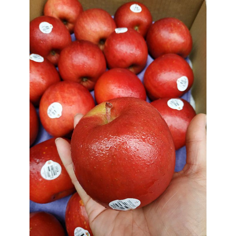 完售-瘋果之水果系列-脆甜-美國富士蘋果10粒190元