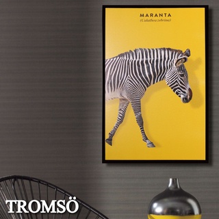 北歐有框畫 摩登斑馬 【TROMSO】/ WA180 40x60cm 台灣現貨 北歐,板畫,有框畫,