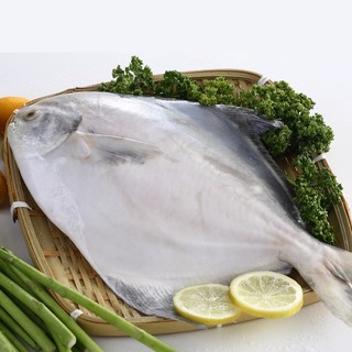 【上野物產】冷凍黃金鯧 3去 (800g)隻 海鮮/魚/鯧魚/黃金鯧