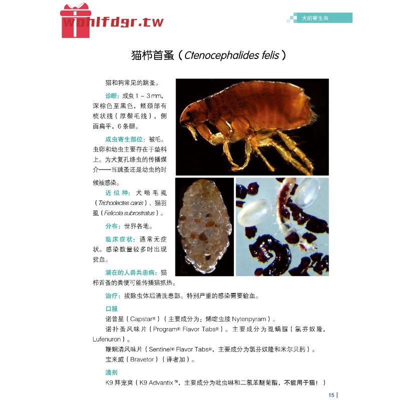 犬貓常見寄生蟲病的診斷與治療圖譜寄生蟲wohlfdgr Tw 蝦皮購物