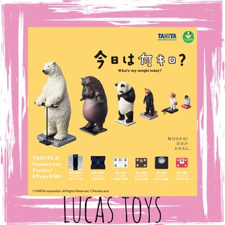 【盧卡斯偷椅子】現貨 正版 熊貓之穴 T-arts 站上TANITA體重計的動物們 動物 扭蛋 轉蛋