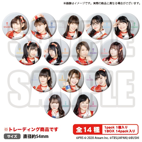 [現貨]少女歌劇 舞台少女 大運動會 聲優 胸針 徽章 岩田陽葵 小泉萌香 遠野光  三森鈴子 天堂真矢 生田輝