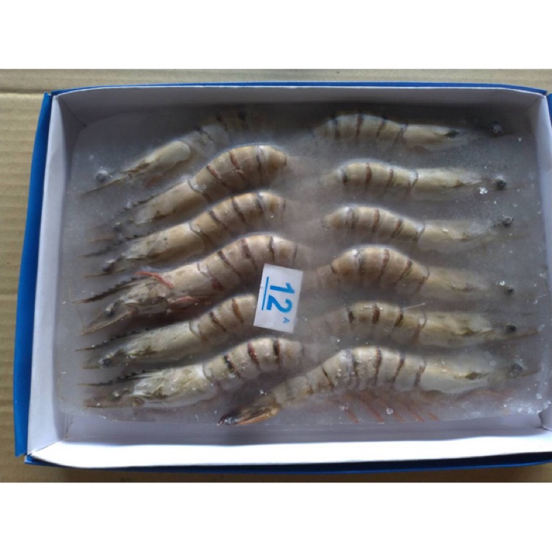 冷凍草蝦6隻裝 12隻裝 蝦皮購物