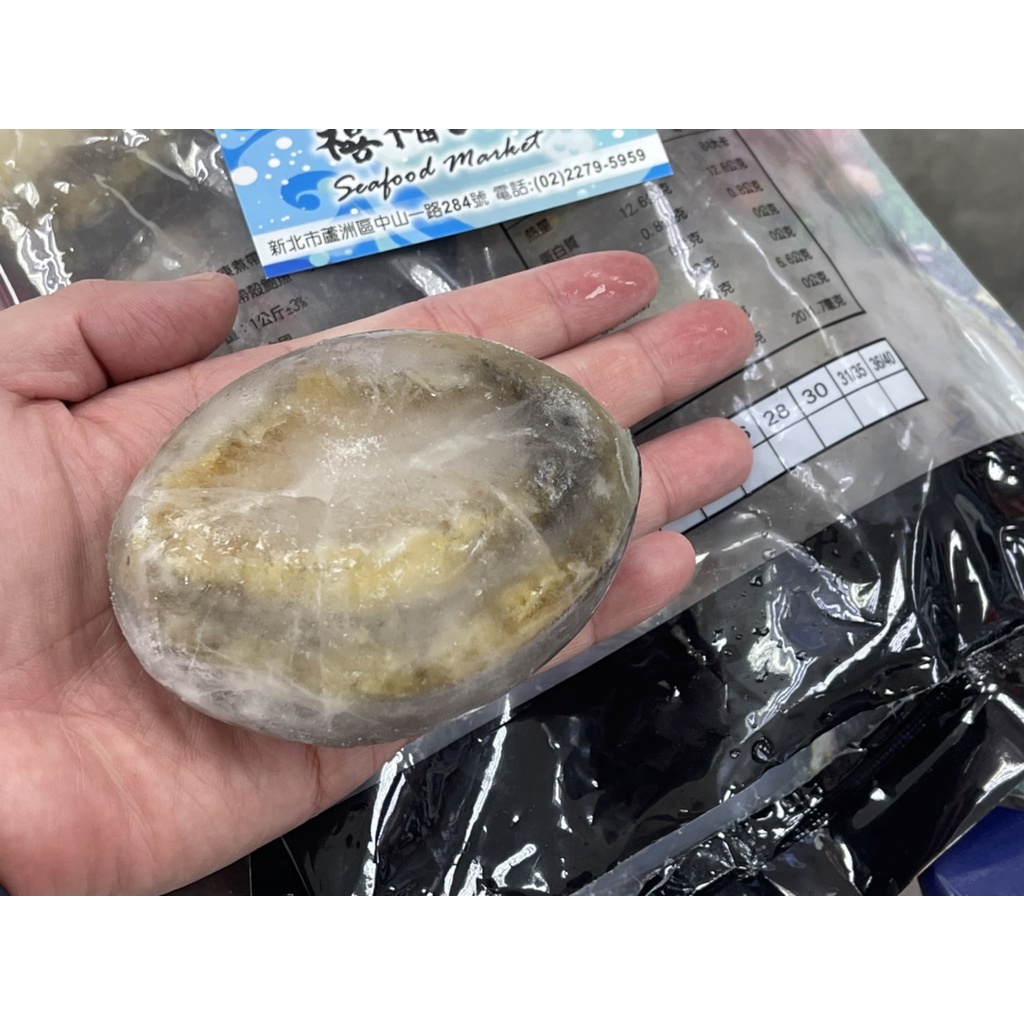 【禧福水產】獨家超巨大石狩御品大鮑魚6p◇$特價888元/包/1kg±10%◇最低價日本料理燒烤居酒屋餐廳團購無菜單九孔