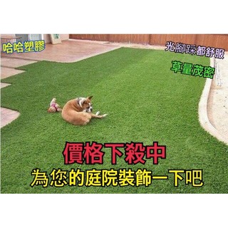 哈哈塑膠 進口高品質 模擬草皮 假草 人工草皮 草地毯 人造草皮 塑膠草皮 零剪1CM=5元