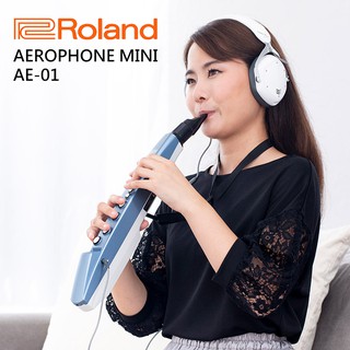 小叮噹的店 - Roland 樂蘭 Aerophone mini 數位吹管 AE-01 AE01 超輕量 可插耳機