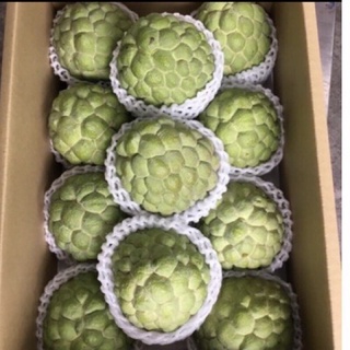 臺東太麻里大目釋迦/一箱8-10斤