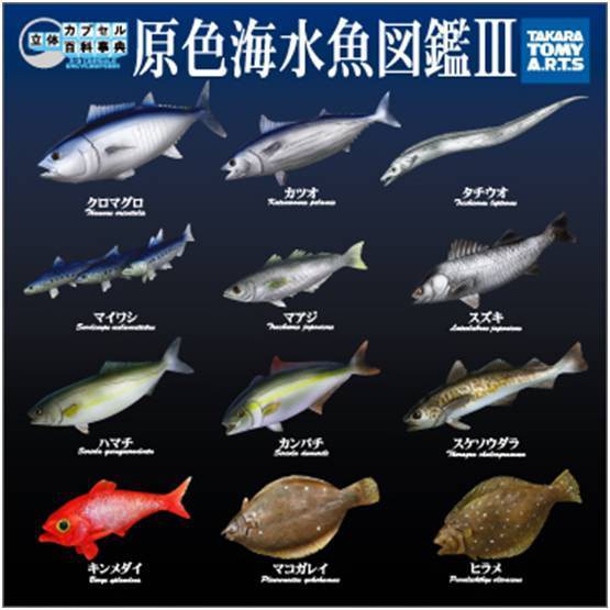 現貨 T-ARTS 原色海水魚圖鑑 III 3 立體百科事典 轉蛋 扭蛋 Yujin P3 第三彈 魚 海水魚